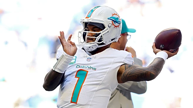 Fins Up, Fins Down | Week One