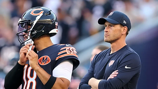 Bears Over Beers: Looking Ahead To Detroit
