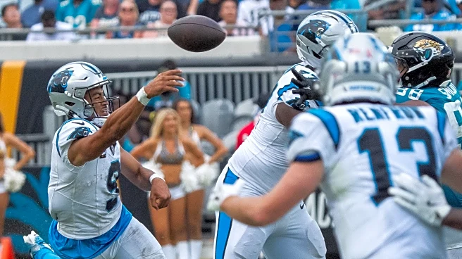 Panthers vs Cardinals: Offensive preview