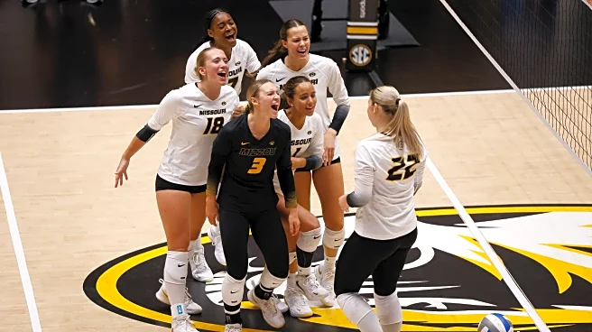 Tigers volleyball bounces back with pair of mid-major wins