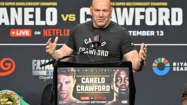 Dana White declares promotional victory with 2 of 3 biggest boxing events: ‘Suck on that, boys’