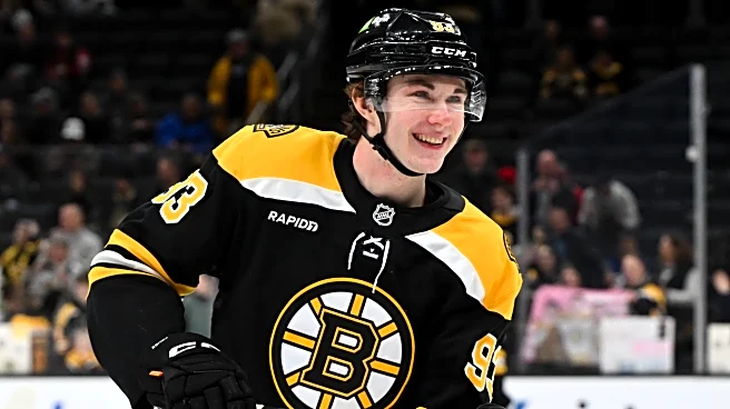 Public Skate: Bruins vs. Penguins Prospects Challenge