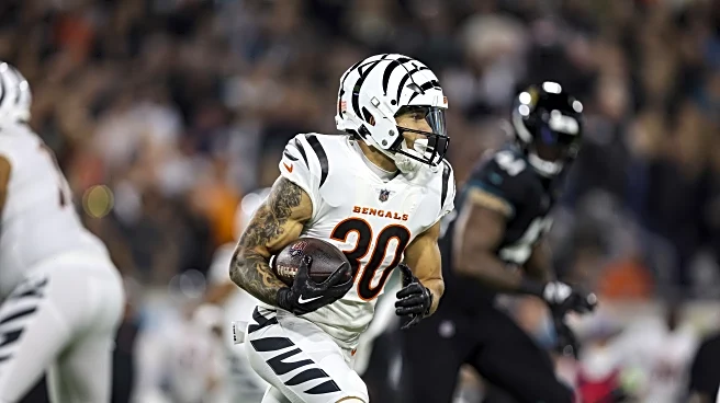 5 Questions with Cincy Jungle: What we learned about the Bengals