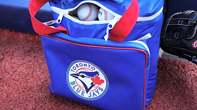 Game #147 GameThread: Orioles @ Jays