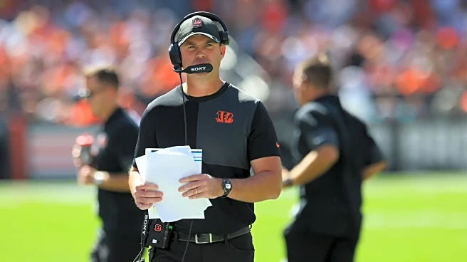 Zac Taylor seeks coaching milestone vs. Jags