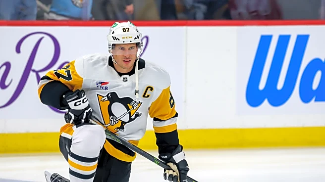 More on Sidney Crosby and the future