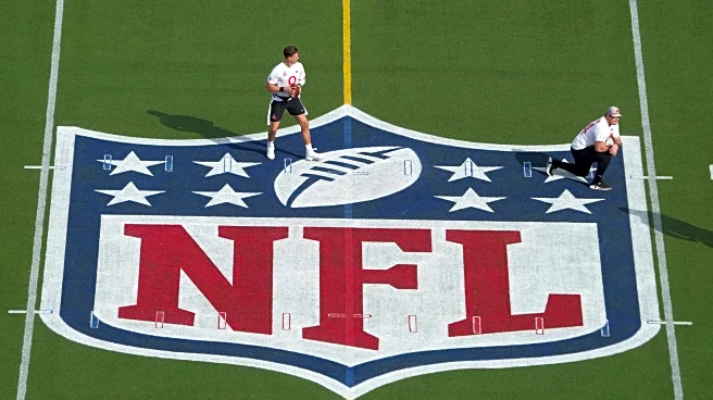 Daily Norseman Staff NFL Picks, Week 2