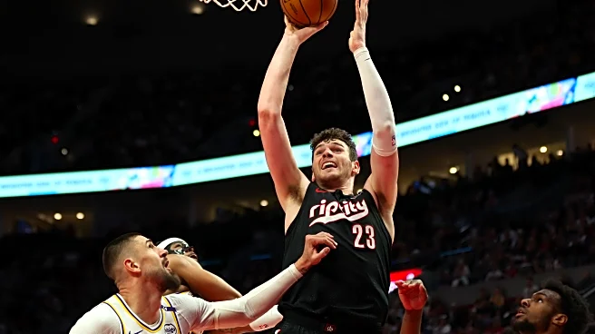 How Solid is the Blazers’ Center Corps?
