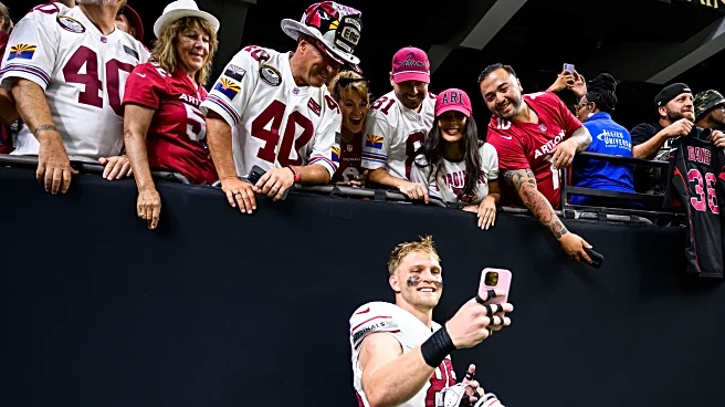 Cardinals-Panthers first half open thread