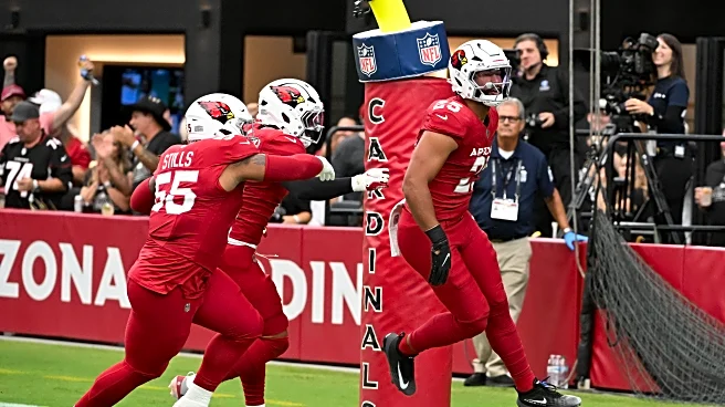 Cardinals-Panthers second half open thread