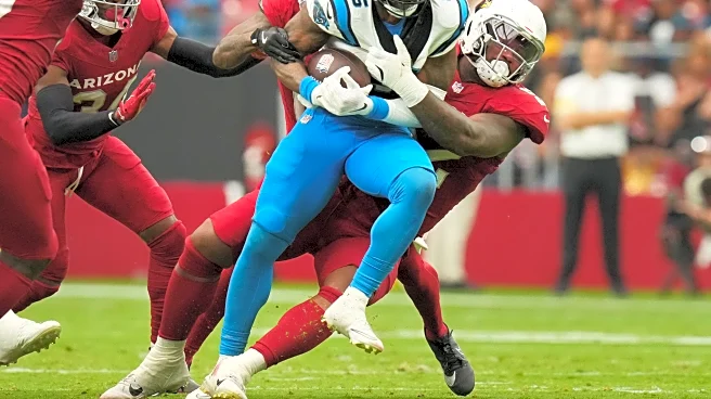 Panthers 22 Cardinals 27: The comeback that almost was