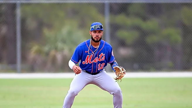 Mets Daily Prospect Report, 9/15/25: Playoff hero Henriquez