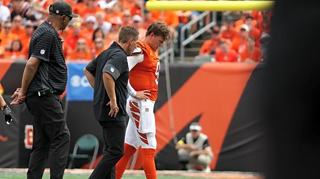 Future Steelers opponents hit with significant injuries in Week 2