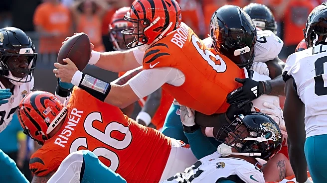 Bengals News (9/16):  QB Options for Cincinnati