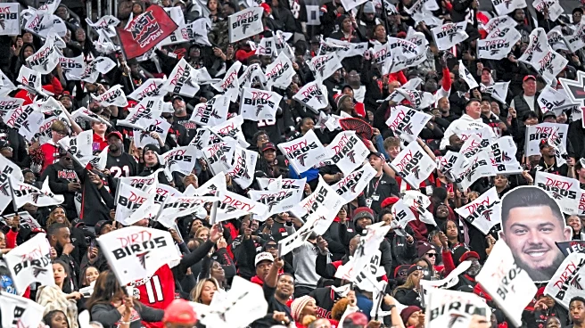 Panthers vs Falcons: Opening odds