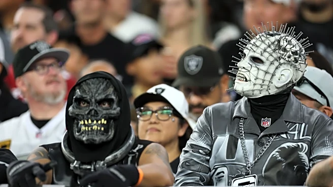 Silver Minings: Vote for NFL Fan of the Year