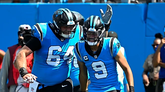 Panthers vs Patriots: Offensive preview