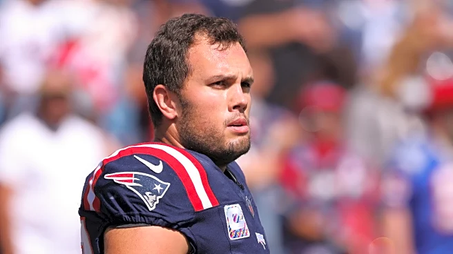 Patriots-Panthers was the quintessential Hunter Henry game