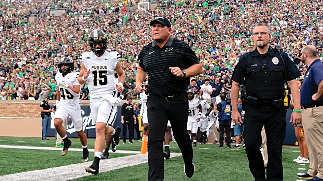 Best Bets: Week 8