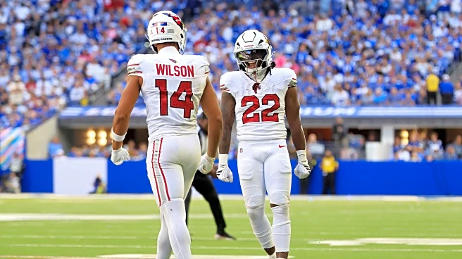 Cardinals Reacts Survey Week 7