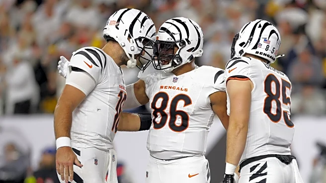 Bengals snap count takeaways vs. Steelers