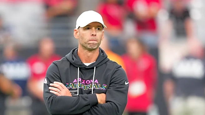 Cardinals Reacts Survey Week 8
