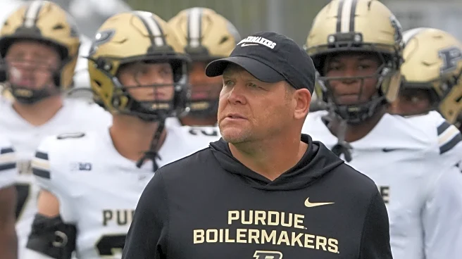 Purdue VS Rutgers: Opening Odds