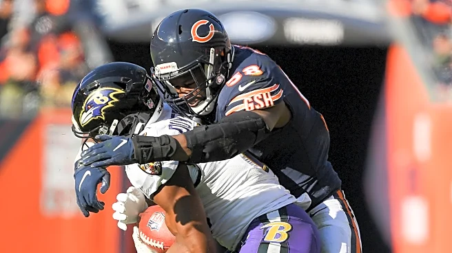 Bear Bones: Getting you ready for Bears vs Ravens