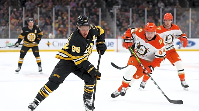 Recap: Bruins drop to Ducks, 7-5, despite third-period rally