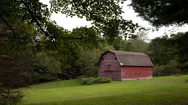 The Link Farm: 10.24.2025