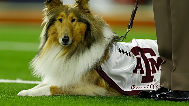 The 7 College Football Games to Watch in Week 9