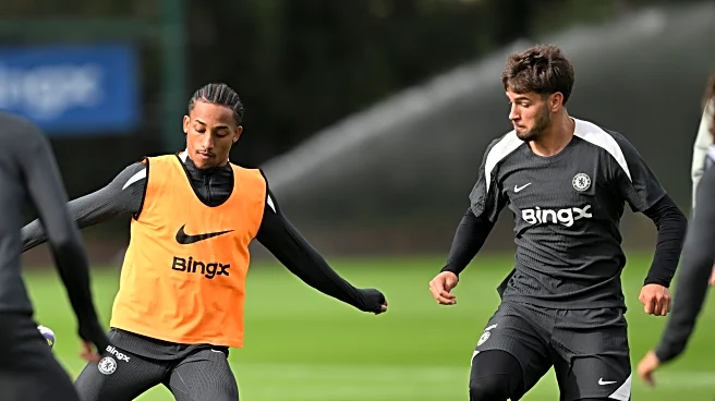 Chelsea fans’ preferred lineup against Sunderland: João Pedro and Marc Guiu together