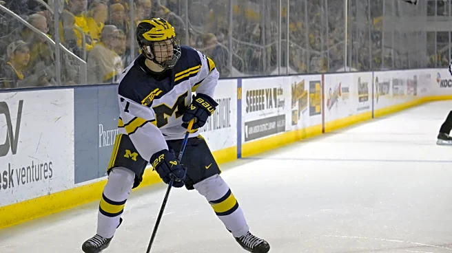 Michigan Hockey recap: Wolverines split series with WMU