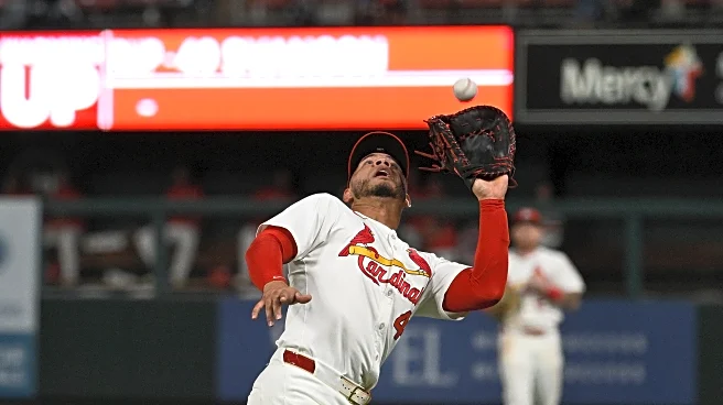 The St. Louis Cardinals most surprising defender in 2025