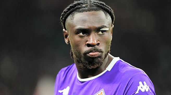 Fiorentina vs Bologna: Preview