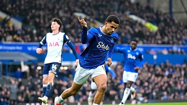 Everton vs Tottenham: Match Preview | Toffees look to maintain strong home form
