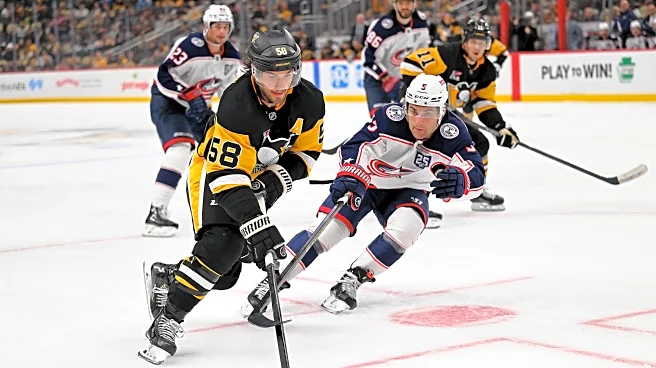 Sunday Standings: Metropolitan Division off to strong start