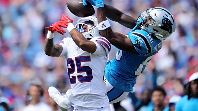 Panthers vs Bills: Open game thread