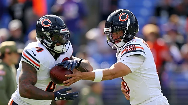 Chicago Bears vs. Baltimore Ravens Open Thread