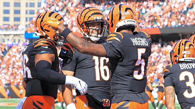 Tee Higgins ties Bengals record touchdown streak