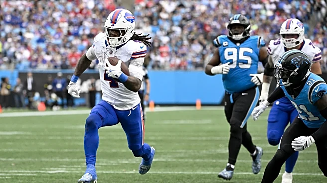 Carolina Panthers vs Buffalo Bills recap and result
