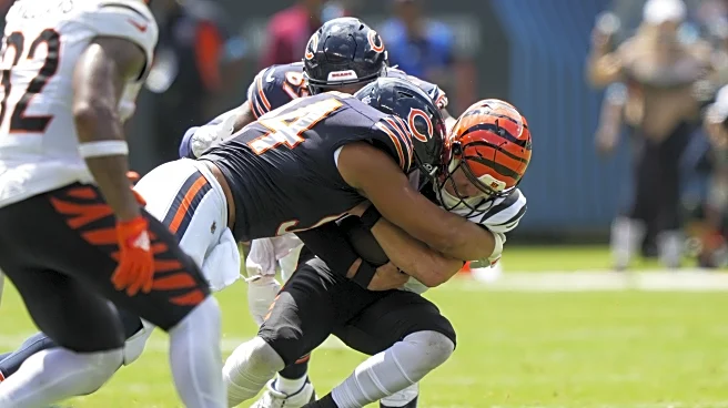 NFL Week 9 Odds: Bears favored by 2.5 over Bengals