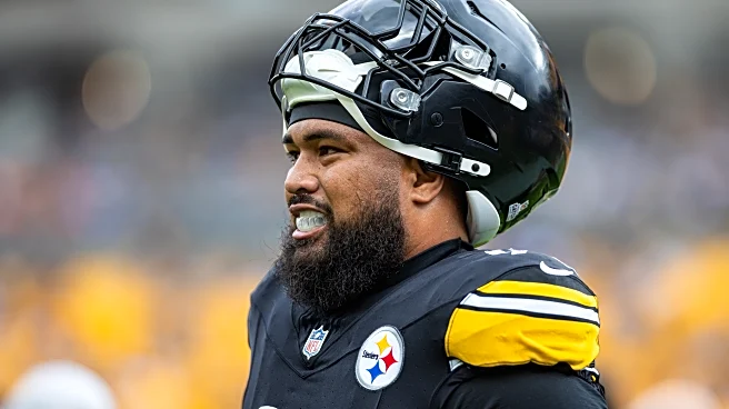 Steelers DT out for game with knee injury