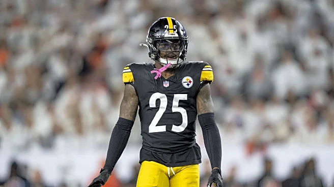 Steelers S DeShon Elliott suffers leg injury vs. Packers