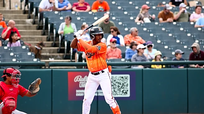 Orioles prospect Aron Estrada had another strong season