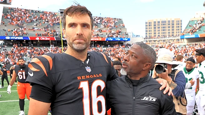 Bengals Tuesday Trenches: Rock Bottom?