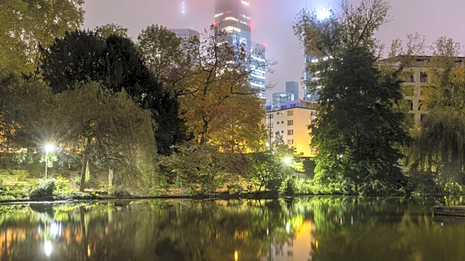 The Daily Bee: BVB Take Strong Squad to Frankfurt