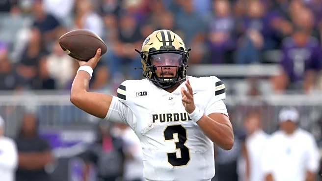 Hammer and Rails Readers Reacts Survey – Who is Your QB1?