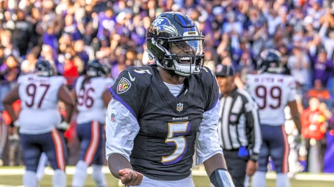 AFC North Recap: Week 8