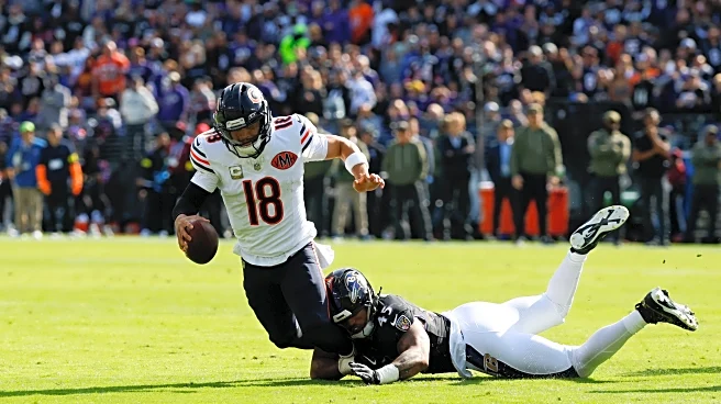 Ravens vs. Bears: Week 8 Rookie Report